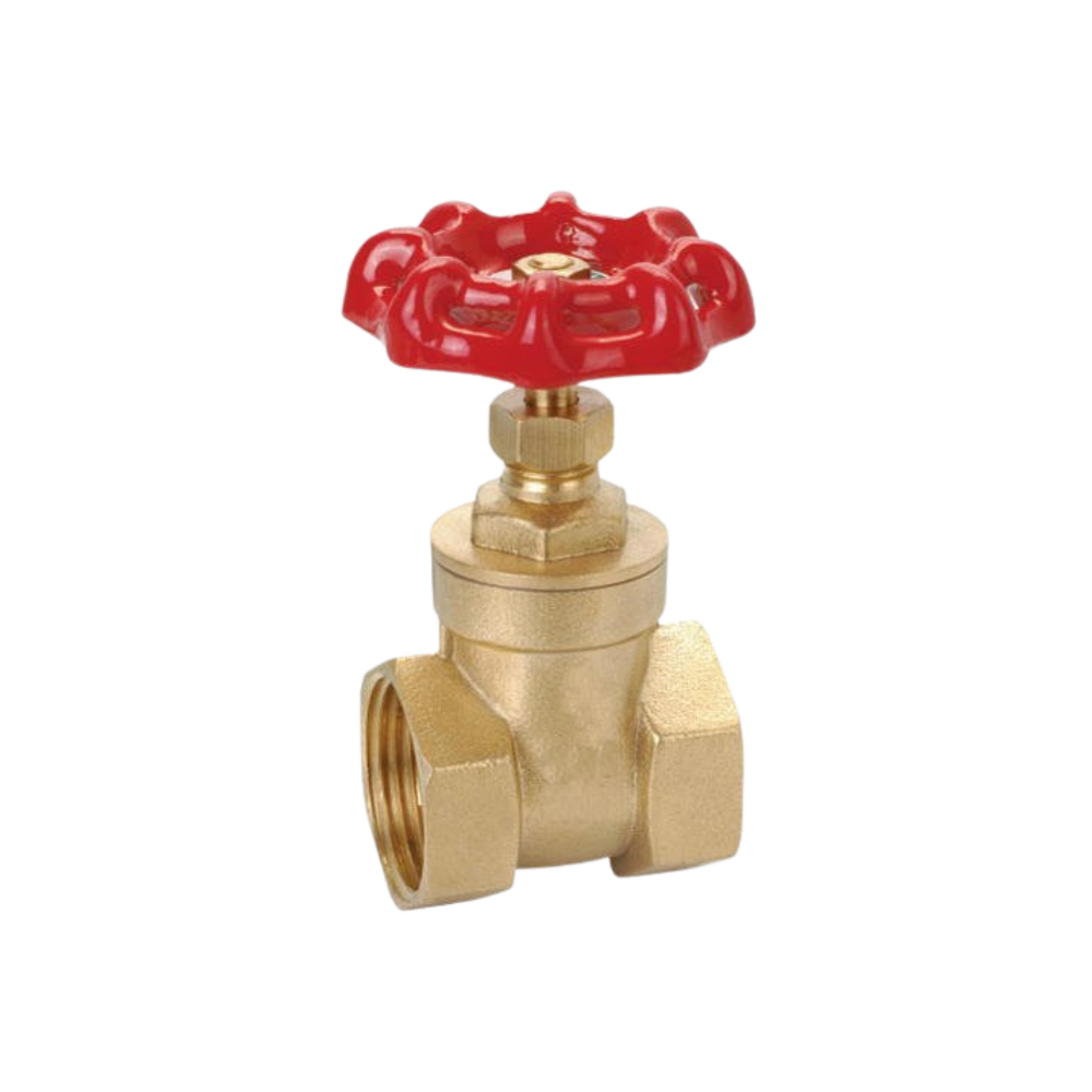 Gun Metal Zoloto Gate Valves