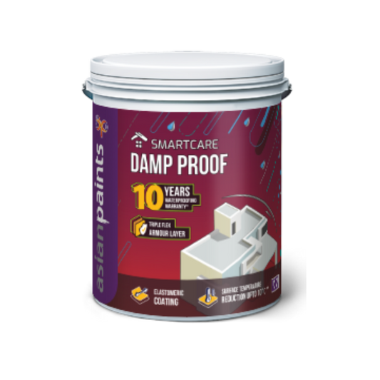 Asian Paints Smart Care Damp Proof