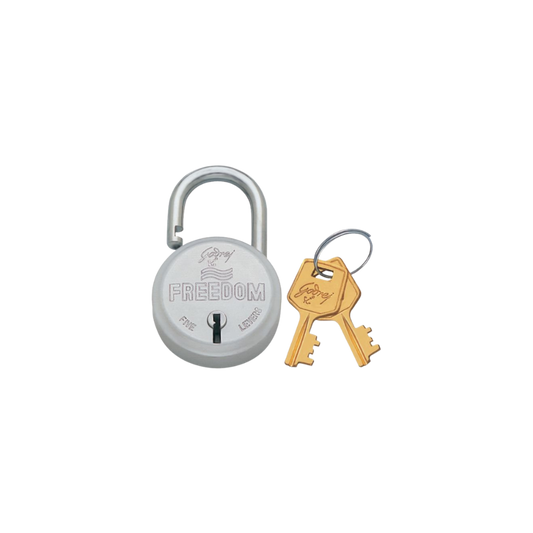 Godrej Freedom Padlock Matte Steel 5 Levers (2 Keys)